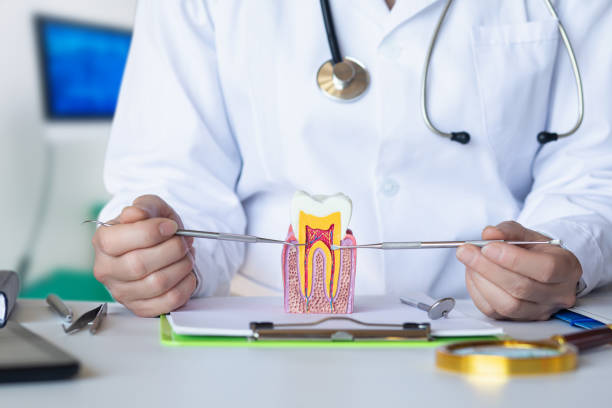 Best Holiday Emergency Dentist in Mechanicsburg, OH